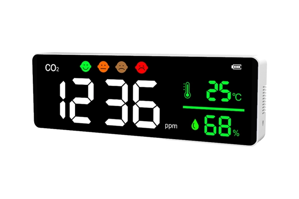 DM1306 CO2 Meter
